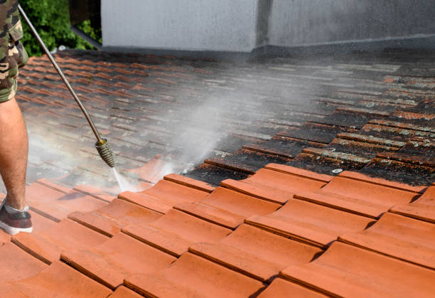 Why Choose Our Certified Pressure Washing Experts for Your Project Needs in Traverse City, MI?