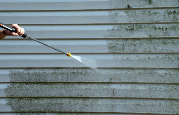 Local Pressure Washing Services in Traverse City, MI